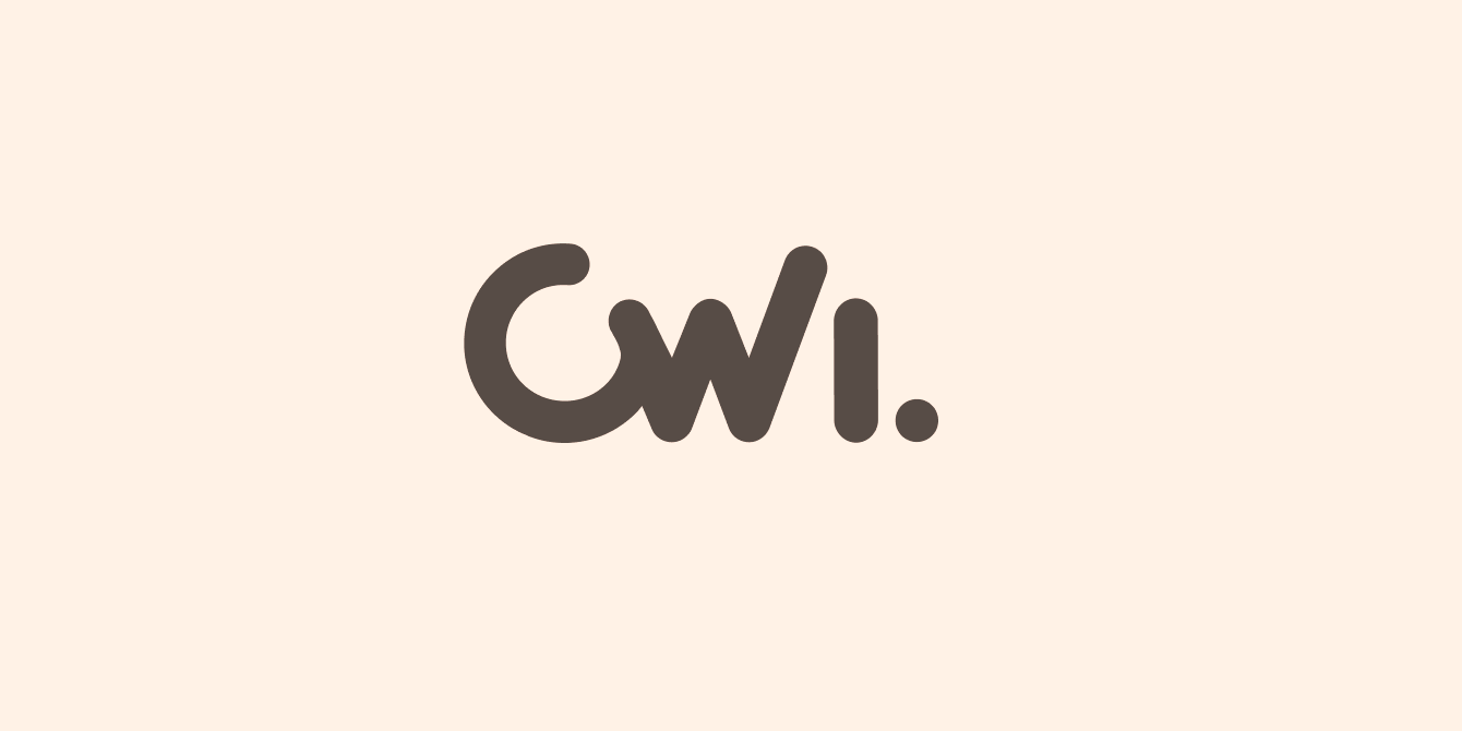 Engenheiro de Software