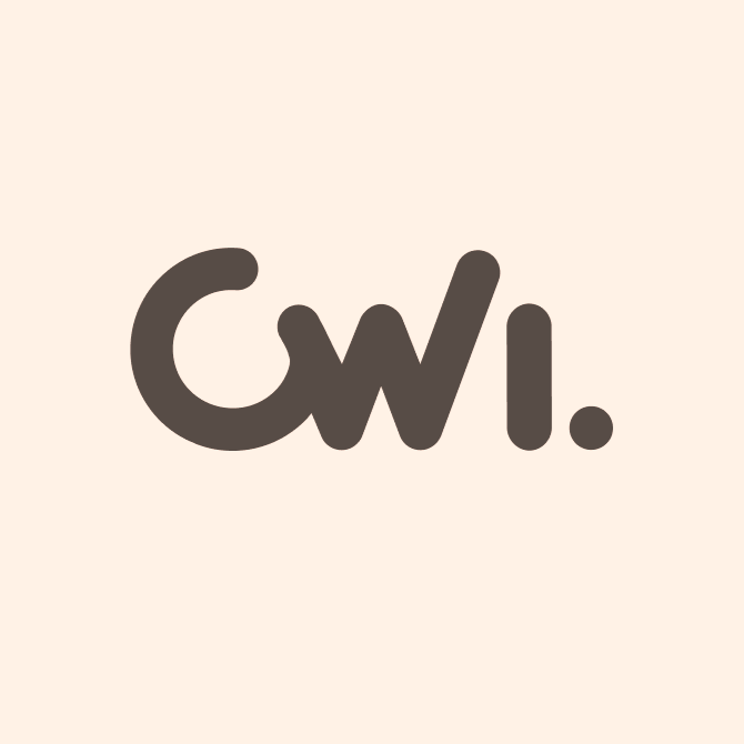 Engenheiro de Software